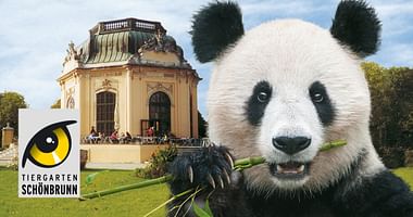 200 Tickets Tiergarten Schönbrunn