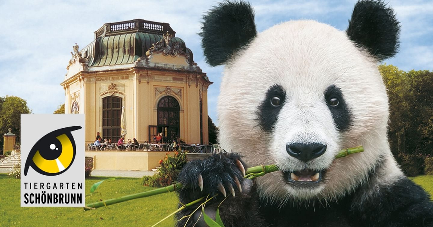 200 Tickets Tiergarten Schönbrunn